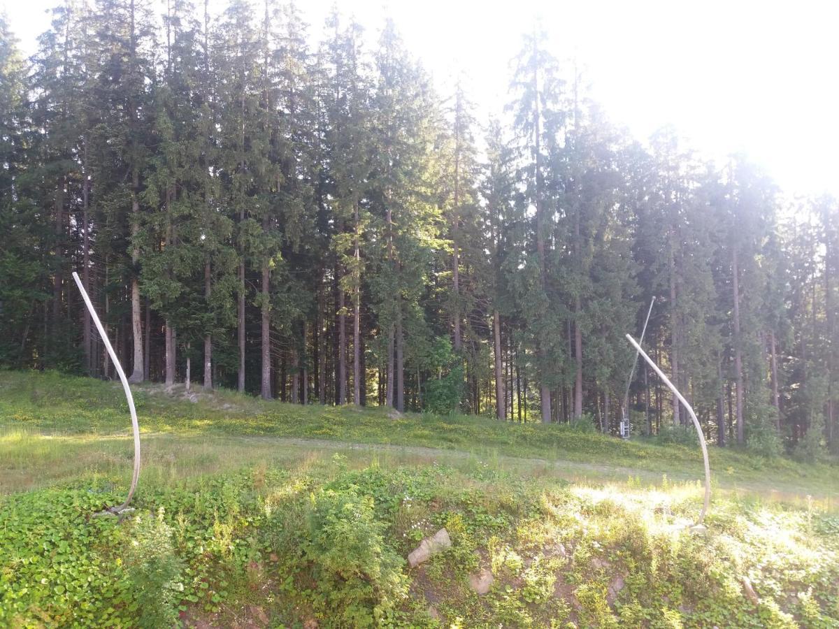 Petros Hotel Bukovel Eksteriør billede